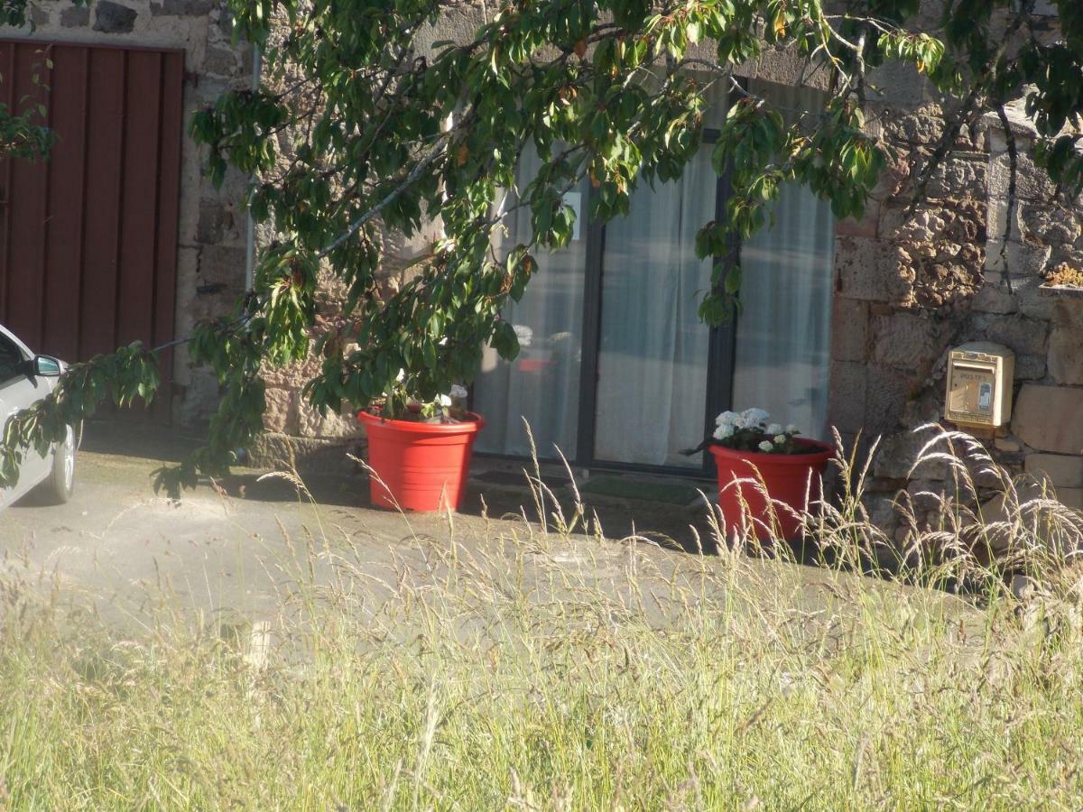 Le Cintrium Bed and Breakfast Viala-du-Tarn Εξωτερικό φωτογραφία