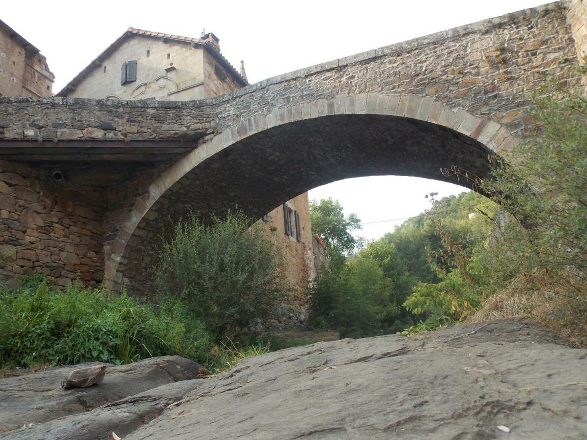 Le Cintrium Bed and Breakfast Viala-du-Tarn Εξωτερικό φωτογραφία