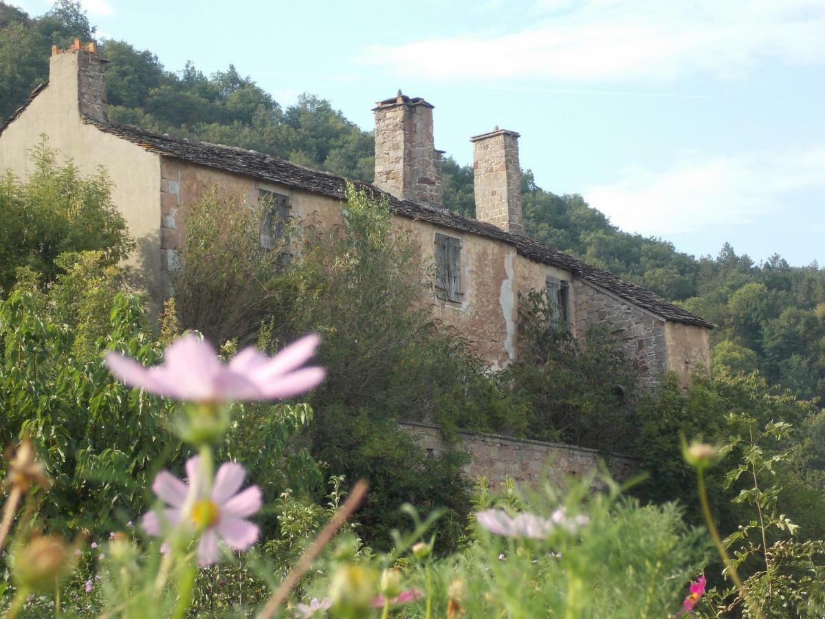 Le Cintrium Bed and Breakfast Viala-du-Tarn Εξωτερικό φωτογραφία