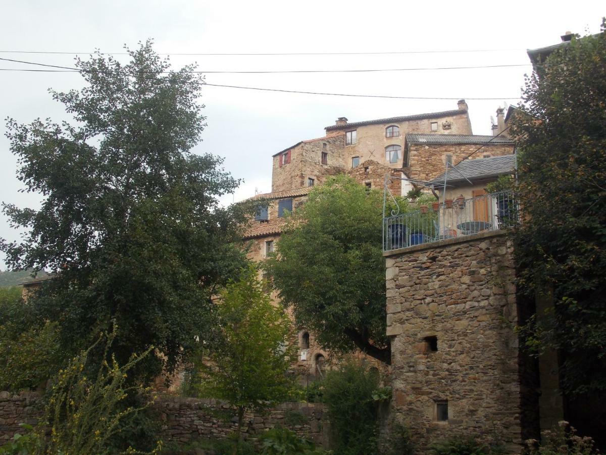 Le Cintrium Bed and Breakfast Viala-du-Tarn Εξωτερικό φωτογραφία