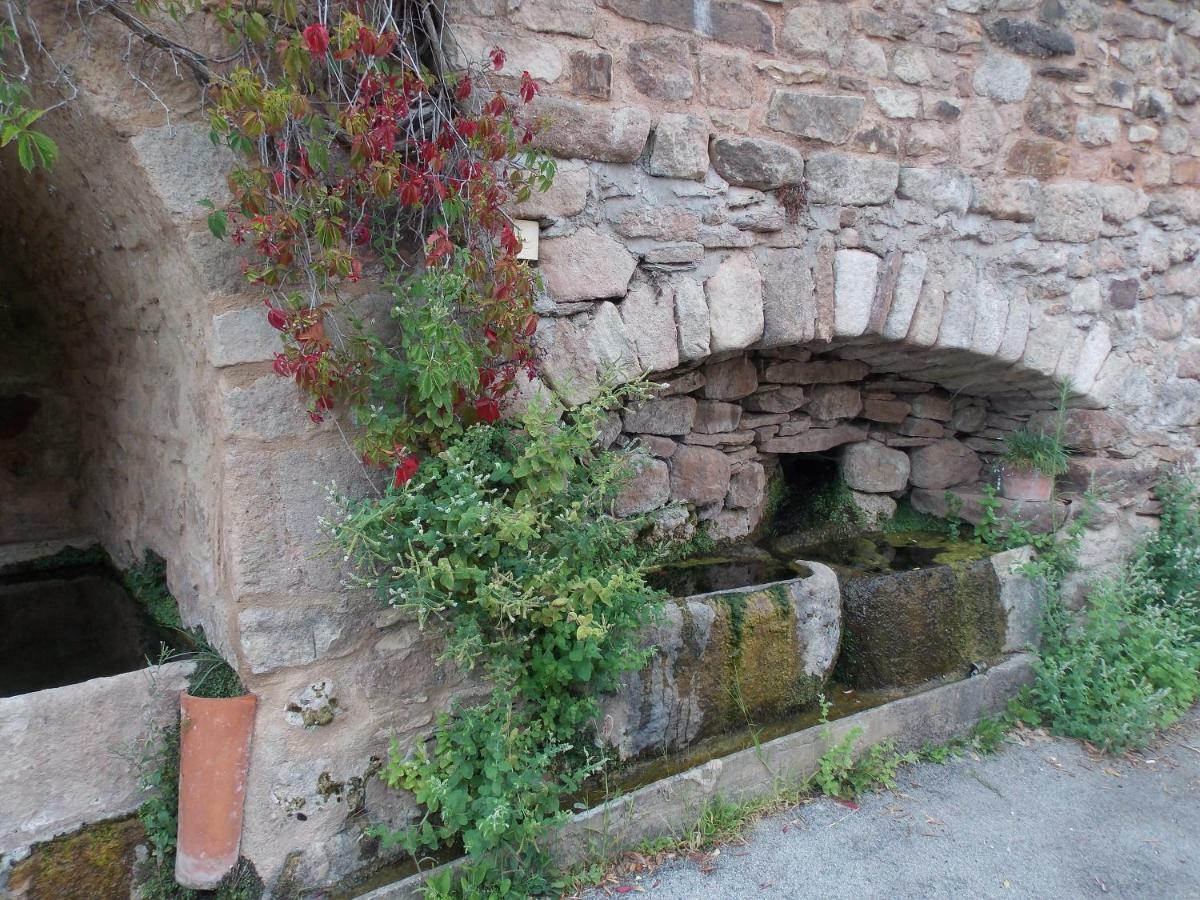 Le Cintrium Bed and Breakfast Viala-du-Tarn Εξωτερικό φωτογραφία