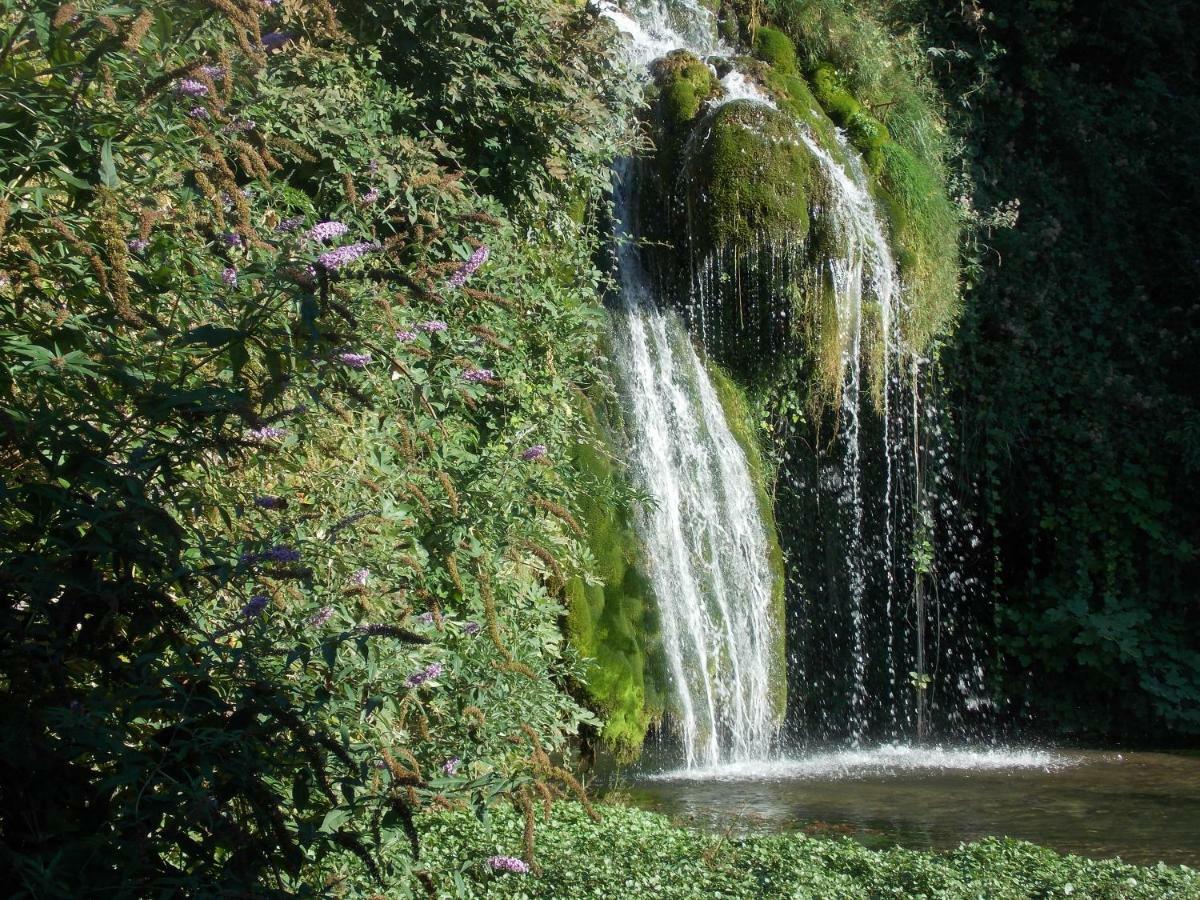 Le Cintrium Bed and Breakfast Viala-du-Tarn Εξωτερικό φωτογραφία
